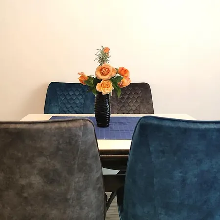 公寓 Taja 扎达尔